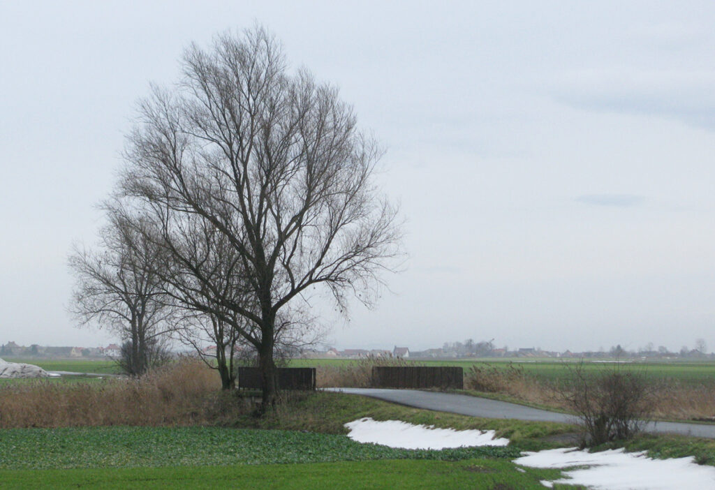 Most nad Rzymkowickim Rowem, na granicy Dziedzic i Chrzelic